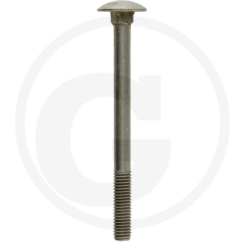 Schlossschraube,DIN603,V2A,M05x060,VE:1